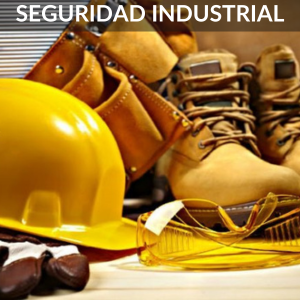 SEGURIDAD INDUSTRIAL